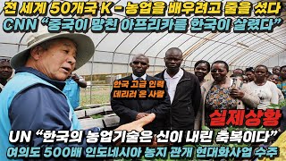 [해외반응] 전 세계 50개국 K-농업기술을 배우려고 난리난상황 / 중국이 망친 아프리카를 한국이 살렸다 / 해외반응