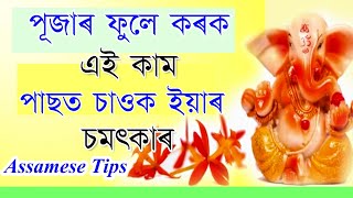 ভগৱানৰ ওচৰত নিবেদন কৰা এই বস্তুবিধৰ জৰিয়তে ভাগ্যক সলনি কৰক ৷৷