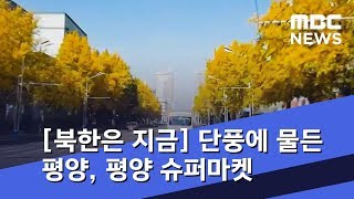 [북한은 지금] 단풍에 물든 평양, 평양에 슈퍼마켓 등장 / MBC 통일전망대 (2018년 11월 3일)