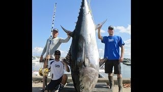 I Tonni Più Grossi degli Oceani del Mondo