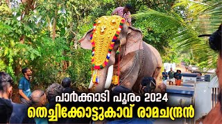 Thechikottukavu Ramachandran Parkkadi Pooram | Parkkadi Pooram 2024 | Thechikottukavu Ramchandran