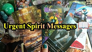 Urgent Spirit Message 💚 you need to hear from your Spirit Now psychic reading 💚