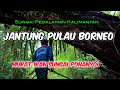 Memukat IKAN SELUANG di sungai PONANYOI Hutan Pedalaman Kalimantan Barat Jantung Pulau Borneo