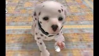 Nintendogs: Dalmatian & Friends Playthrough Part 2