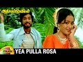 Yea Pulla Rosa Video Song | Athisaya Piravigal Tamil Movie | Karthik | Radha | Mango Music Tamil