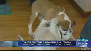 Salmonella infection linked to pig ear dog treats