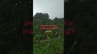 pemandangan di pagi hari ini