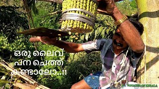 ഒരു പാരമ്പര്യ തൊഴിലിന്റെ നേർകാഴ്ച  . MAKING NATURAL ALCOHOL FROM PALM TREE.