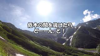 【三度目の挑戦】北アルプス・剱岳・その３の１．雷鳥沢⇒剱御前小舎(day.2)