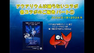 【アクアリウムは踊らない×かにっこ館コラボ】ご報告パート①