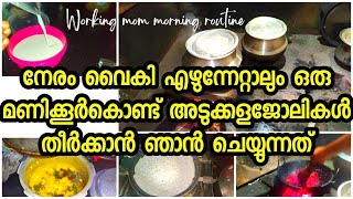 രാവിലത്തെ ജോലി പെട്ടെന്ന് തീർക്കാൻ|breakfast|Nadan lunch|A working mom morningroutine|@BanuWorld