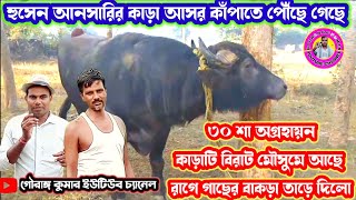 ৩০ শা অগ্ৰহায়ন মিশিরডি থেকে 🔥 হুসেন আনসারির কাড়া আসর কাঁপাতে পৌঁছে গেছে ⭐ কাড়াটির ত্যজ দেখুন ♨️