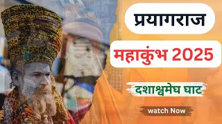 Mahakumbh prayagraj Dashasvmegh Ghat | Mahakumbh 2025 Video | kumbh mela prayagraj | #mahakumbh