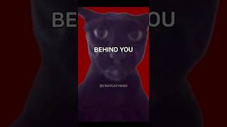 LARRY 😈 #cat #foryou #catfunny #viral #shorts #youtube #cute #larry #memes