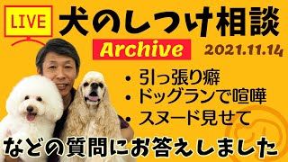 犬のしつけ相談ライブ☆ゲリラライブ【アーカイブ 2021/11/14】