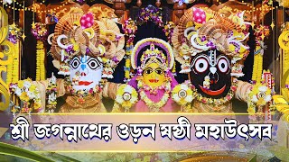 শ্রীধাম মায়াপুরের রাজাপুরে শ্রী জগন্নাথের ওড়ন ষষ্ঠী মহাউৎসব | ISKCON Bangla