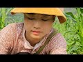 A 17-year-old single mother and her son harvest yellow cucumbers in the Northwest region - anh hmong