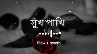 সুখ পাখি তোর প্রেমে মন মজাইয়া আমি / Shukh pakhi tor preme /bm baplu official | F A FUMON | lofi song