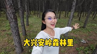 自驾内蒙古第17天，走进大兴安岭的森林里，环境很好可惜有垃圾