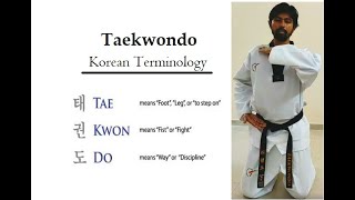 Taekwondo Theory - Basics | World Taekwondo Korean Terminology | Taekwondo Terminology Tutorial | WT