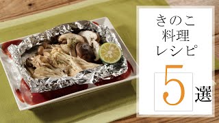 きのこ料理レシピ5選🍽【きちんとキッチンbydaiei】