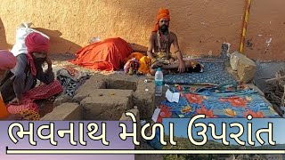 ગિરનાર સુધી આવો તો આટલુ જોવાનુ ચૂકતા નહીં | ભવનાથ મહાશિવરાત્રી મેળાની સાથે સાથે