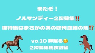 【一口馬主】ノルマンディー2次募集発表！こもこもが出資したいと思った馬３頭の理由をご紹介✨