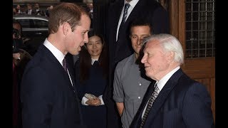 Watch again: Prince William talks to Sir David Attenborough about the future of our natural world