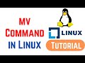 Linux Command Line Basics Tutorials - mv Command in Linux