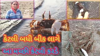 આ મચ્છી કેટલી કરડે કેટલી બધી બીક લાગે