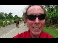 THE GOAT of Sports Travel - With Insight and Analysis! - Of a Herd in Equatorial Guinea...1 Slacker!