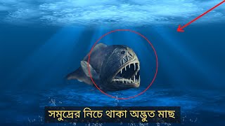 সমুদ্রের নিচে থাকা ৫টি অদ্ভুত মাছ । Top 5 Mysterious Fish Under The Sea In Bangla