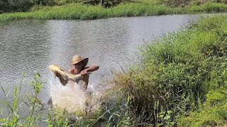 usei goiabas de isca e peguei um peixe enorme