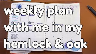 plan with me in my Hemlock \u0026 Oak | jan. 13-19