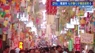 【広島を楽しもう！】マイニングふるさと　尾道市「土曜夜店」　府中市「三郎の滝フェス」　竹原市「七夕まつり」