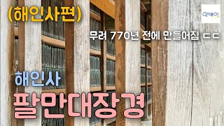 [인별이×아티, 컨메] (해인사편) 역사책에 나오던, 고려시대 팔만대장경을 보러 가봤습니다! | 인별이