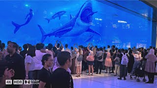 Dubai Mall Aquarium | Sharks 🦈 | Underwater Zoo | Largest Aquarium in the World!!