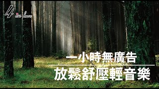 《W01》🎧WE心靈音樂🎧一小時高音質 ♫│抒壓放鬆│深層睡眠│激發腦部開發│穩定幼兒情緒│純音樂大自然│看書音樂