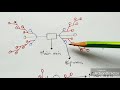 special types of inflorescence cyathium hypanthodium verticillaster bio science