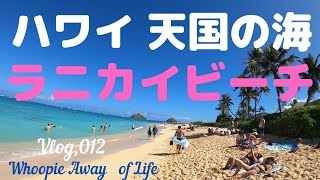 【ハワイ旅行】#012　Hawaii Trip 2020 2月 ハワイ Vlog　天国の海　ラニカイビーチ