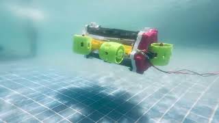 AUTONOMOUS UNDERWATER VEHICLE USING IMAGE PROCESSING ASSISTANCE (BEE-AUV)