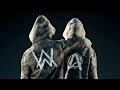 Alan Walker & Sasha Alex Sloan - Hero (Aras Özege Remix) | Official Audio