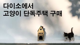 정착 - 시골 고양이의 전원 주택^^ 고양이 집 만들기! 다이소에서 장만한 아기 고양이 집 한 채!