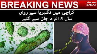 Niglaria Disease sirf Karachi walon ko hi kyun nigal raha hai - Samaa Breaking News  | SAMAA TV