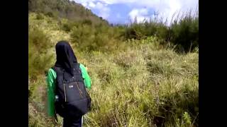 gunung buthak 2868mdpl via sirah kencong finish ds princi 11-12 januari 2014