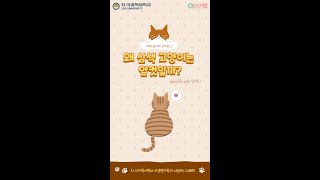 🐱삼색 고양이의 비밀🔍