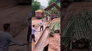 Bamboo crushing process for making bamboo-pulp