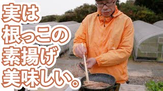 【青空レストラン】パクチー根っこの素揚げ