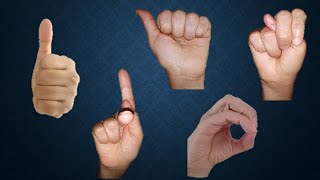 HANDSHAPE VIDEO 1