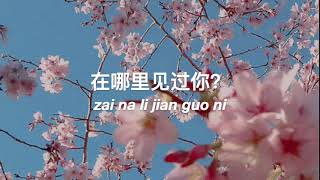 甜蜜蜜 (Tian Mi Mi) - Teresa Teng [lyrics with pinyin]